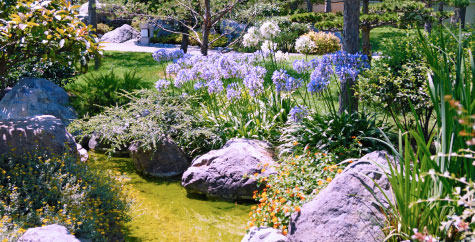 Home garden with flowers and landscaping.