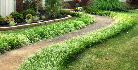 Walkway leading to front door.