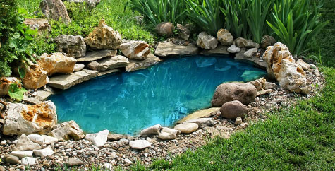 Small backyard pond in the garden.